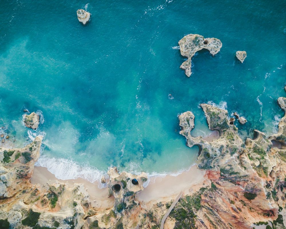 claudio-schwarz-kxAaw2bO1Z8-unsplash (1)
